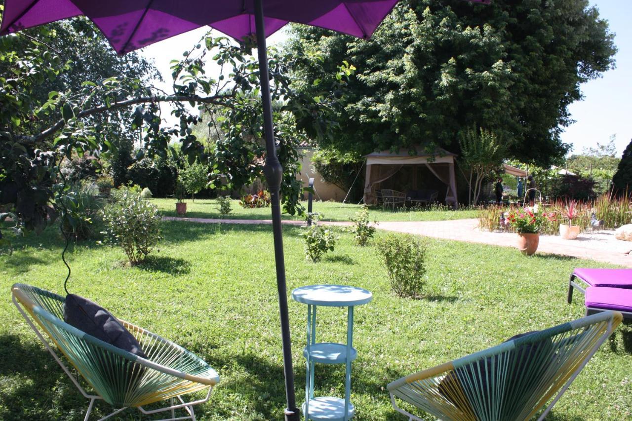 Les Milahinas Apartment Lescure-d'Albigeois ภายนอก รูปภาพ